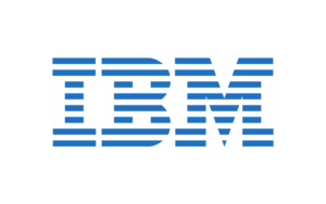 job in IBM it company